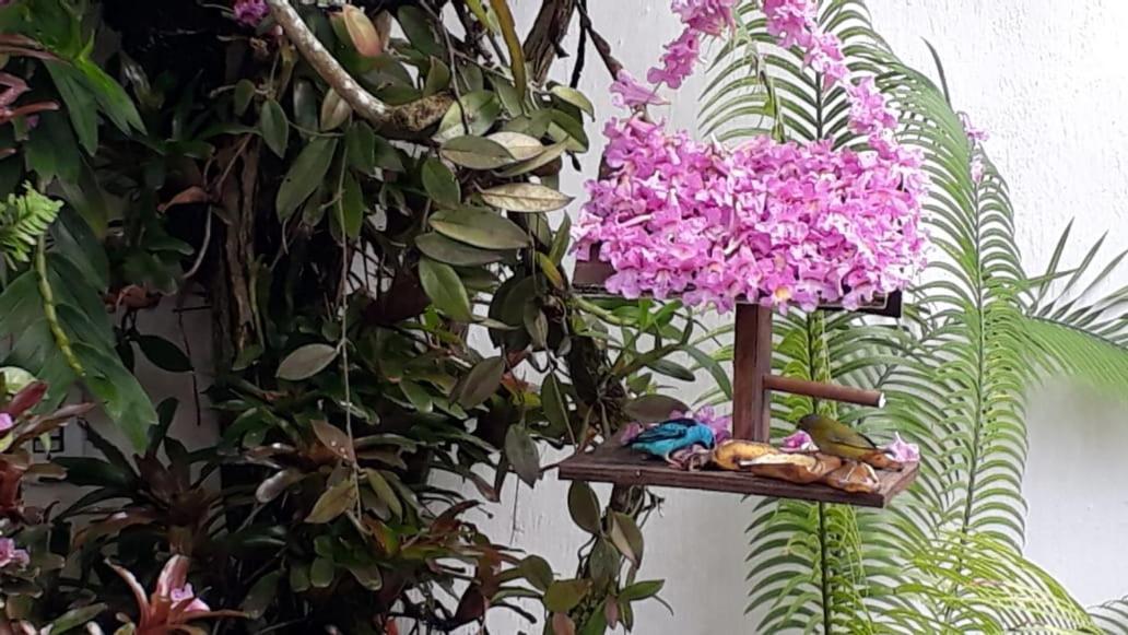 Suites Beija-Flor Araquari Exteriör bild